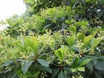 IMG_3547