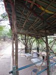 IMG_3550