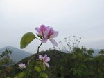 IMG_3553