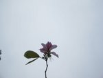 IMG_3554