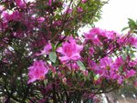 IMG_3577