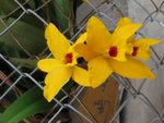 IMG_3580