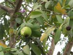 IMG_3620