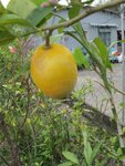 IMG_3624