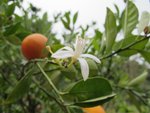 IMG_3632
