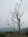 IMG_3646