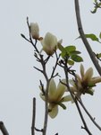 IMG_3647