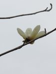 IMG_3648
