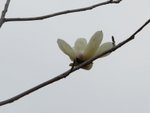 IMG_3649