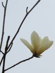 IMG_3651
