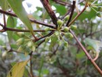 IMG_3661