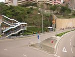 IMG_6545