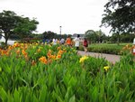IMG_7884