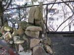 IMG_2660