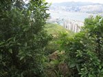 IMG_2693