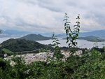 IMG_0242