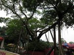 IMG_8722