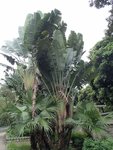 P9010218