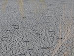 PA270816