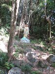 IMG_4320