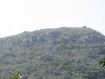 IMG_4333