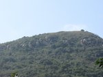 IMG_4334