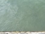 IMG_4340