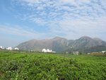IMG_4341