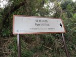 IMG_4512