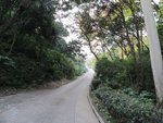 IMG_4513