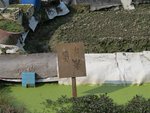 IMG_3246