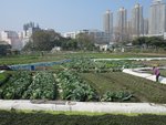 IMG_3248