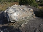 DSC00216