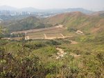 IMG_3585