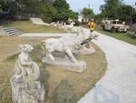 IMG_4848