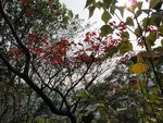 IMG_4687