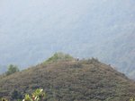 IMG_4695