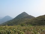 IMG_4709