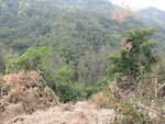 IMG_4948