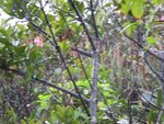 IMG_5333