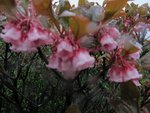 IMG_5337