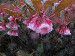 IMG_5338