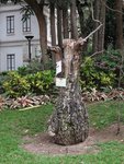IMG_3704