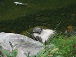IMG_3707