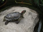 IMG_3710