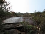 IMG_3731