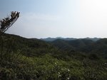 IMG_3742