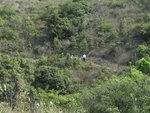 IMG_3744