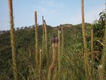 IMG_3749