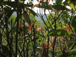 IMG_3761